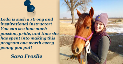Arm Strong Equine Massage