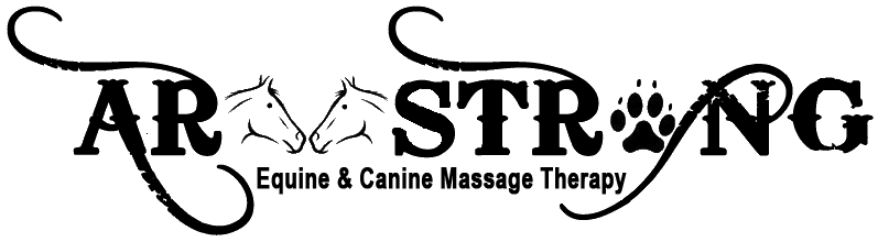 Armstrong Equine Massage