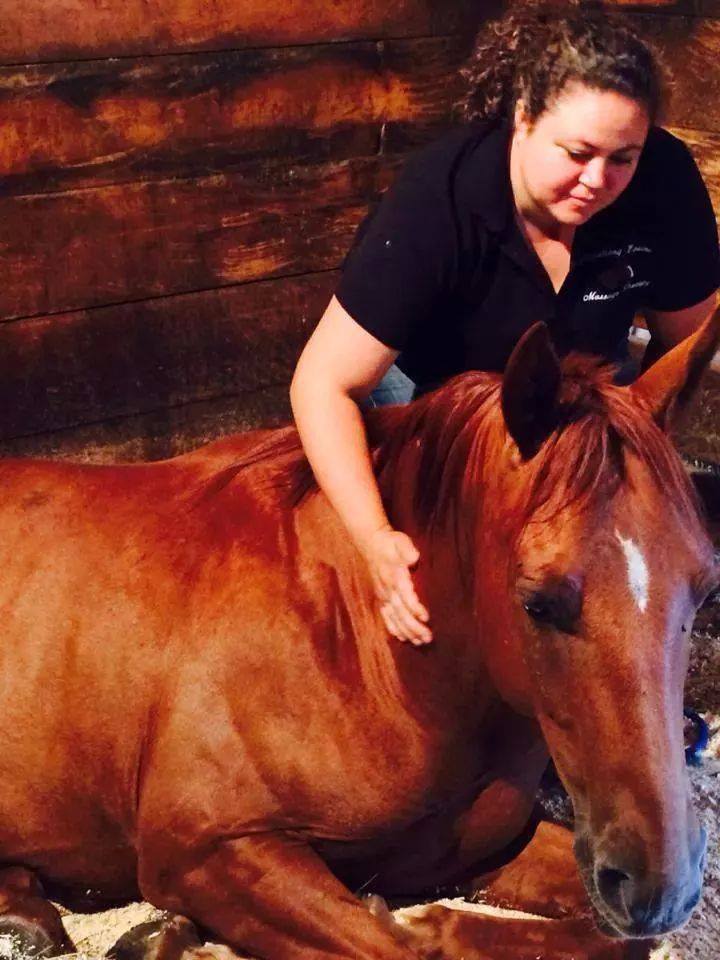 Armstrong Equine Massage - horse therapy canine dog massage therapist Minnesota MN North Dakota ND Wisconsin WI