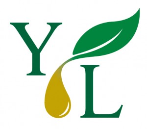 Young-Living-Logo-300x263