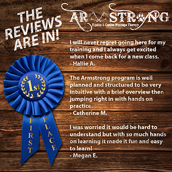 Armstrong Equine Massage Class Reviews