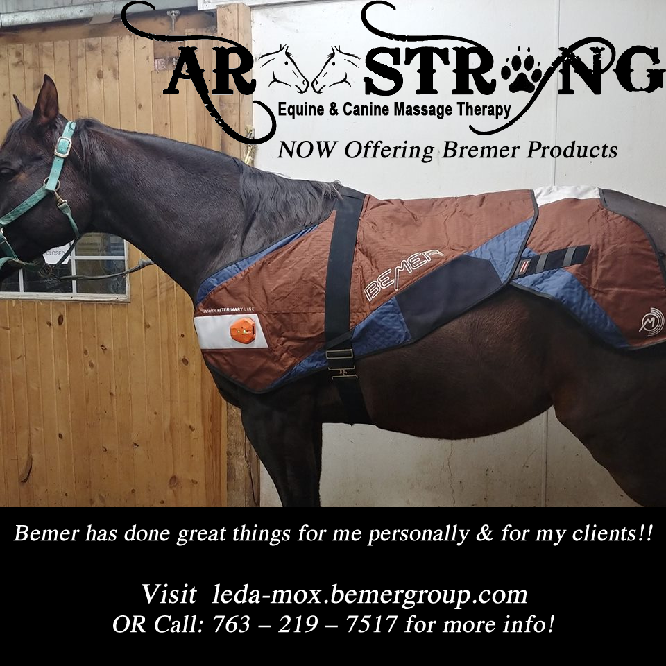 Bemer Equine Products