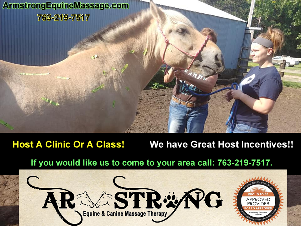 Host a Horse Massage Clinic or Class