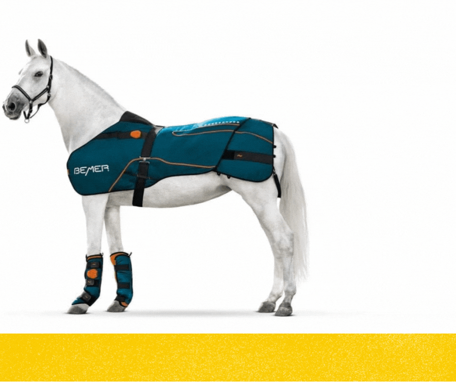 Equine Bemer Products